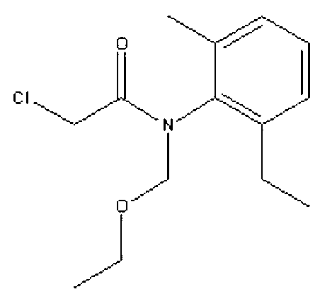 Bacterium capable of degrading herbicide acetochlor and application thereof