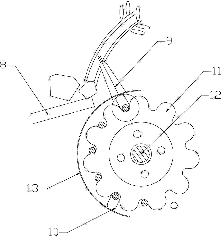 Root crop flexible separation device