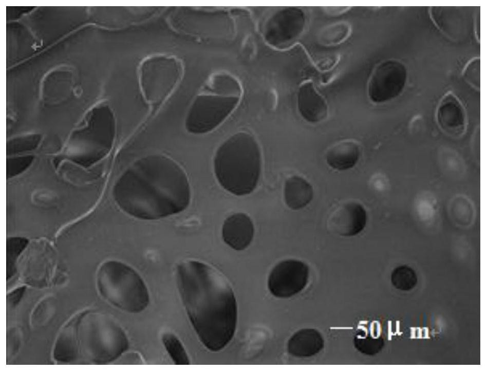 A composite humic acid sponge bionic soil matrix and its preparation method and application