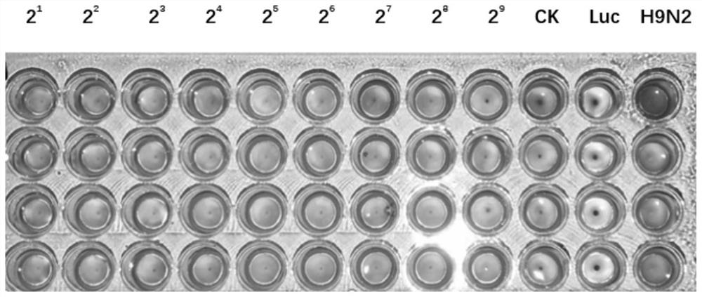 Based on self-assembled ferritin nanoantigen particles and influenza vaccine and preparation method