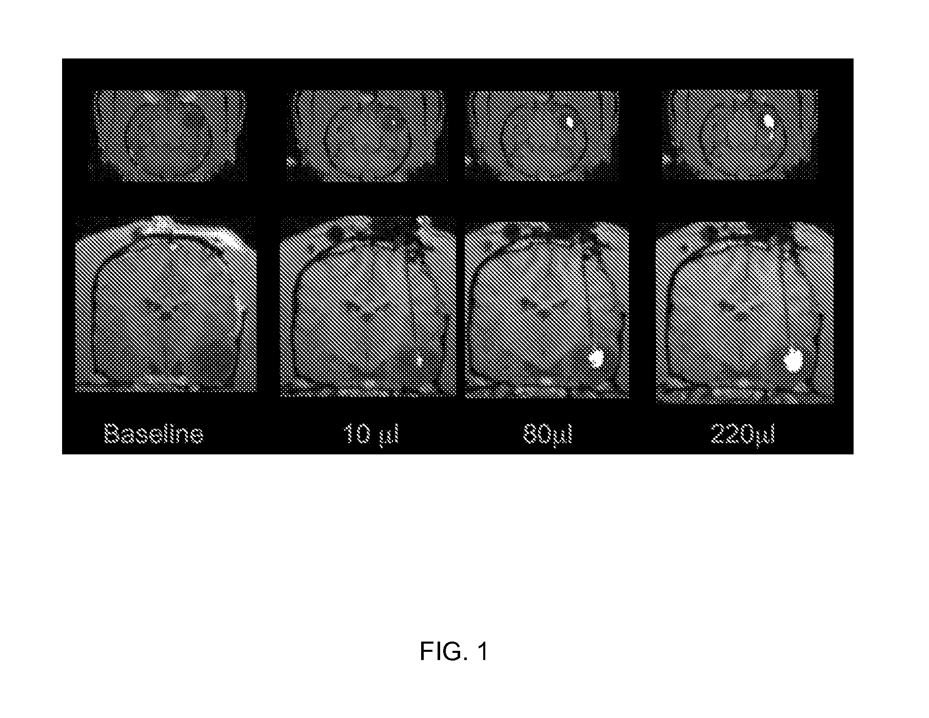 Compositions and Methods for Convection Enhanced Delivery of High Molecular Weight Neurotherapeutics