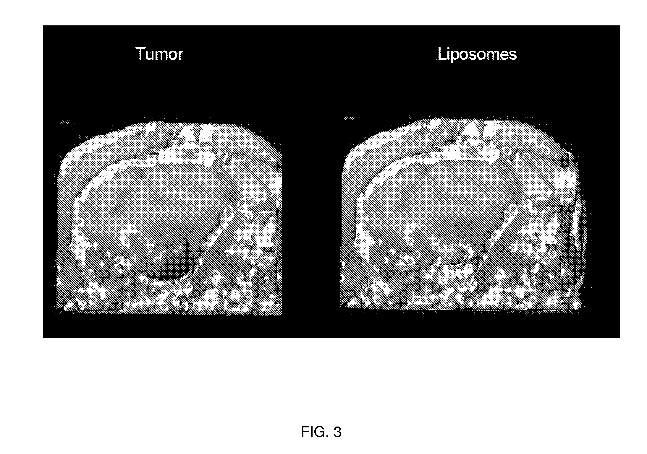 Compositions and Methods for Convection Enhanced Delivery of High Molecular Weight Neurotherapeutics