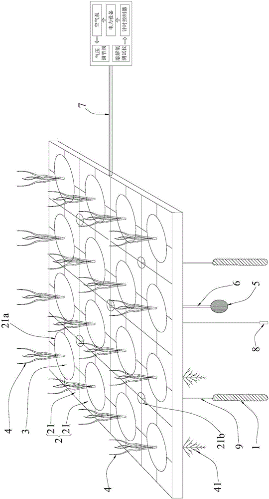 Biological rope and multifunctional ecological floating island device applying same