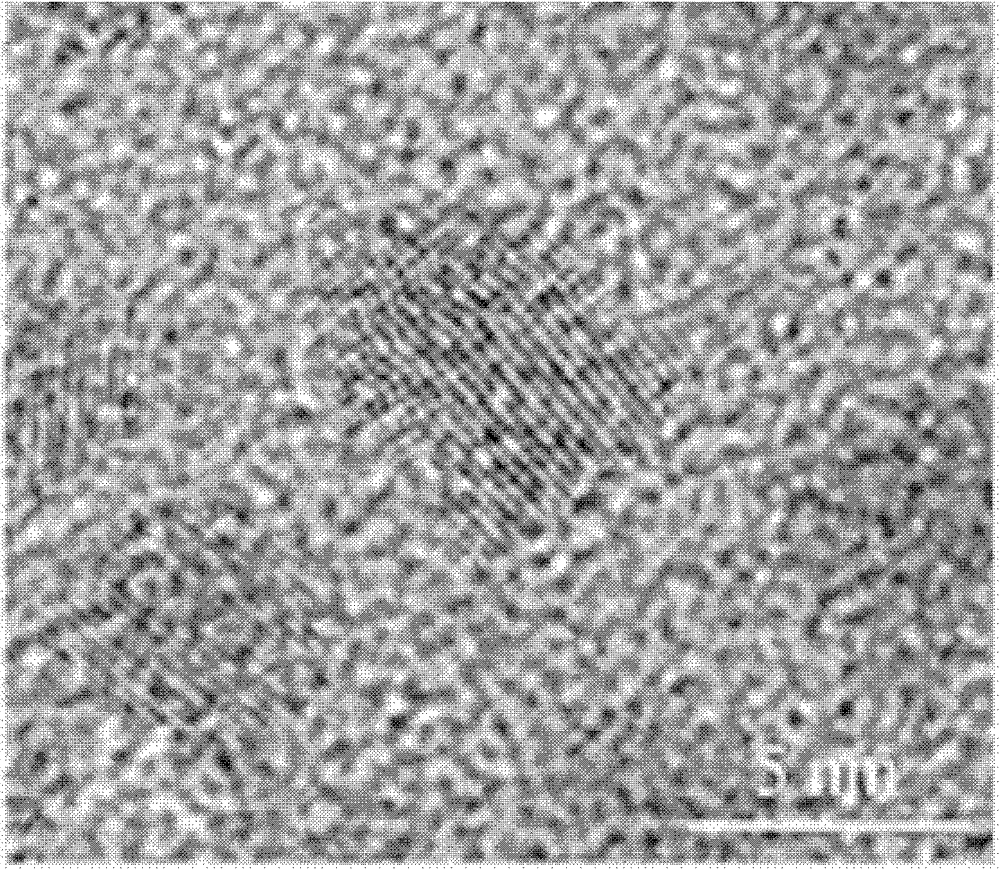 Amphiphilic macromolecular modified oil-soluble nuclear/shell quantum dots and preparation method