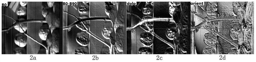 A method and device for identifying target red dates in red date spectral images