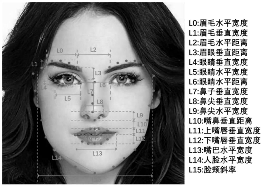 Key point differential privacy-driven face image privacy protection method