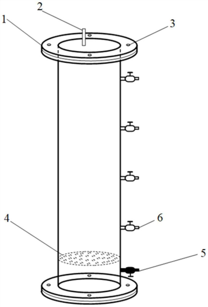 Construction method and application of phycomycete symbiotic denitrification biological filter