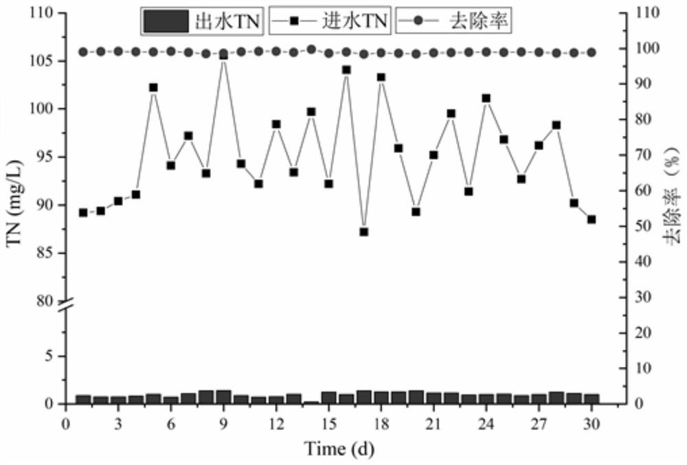 Construction method and application of phycomycete symbiotic denitrification biological filter