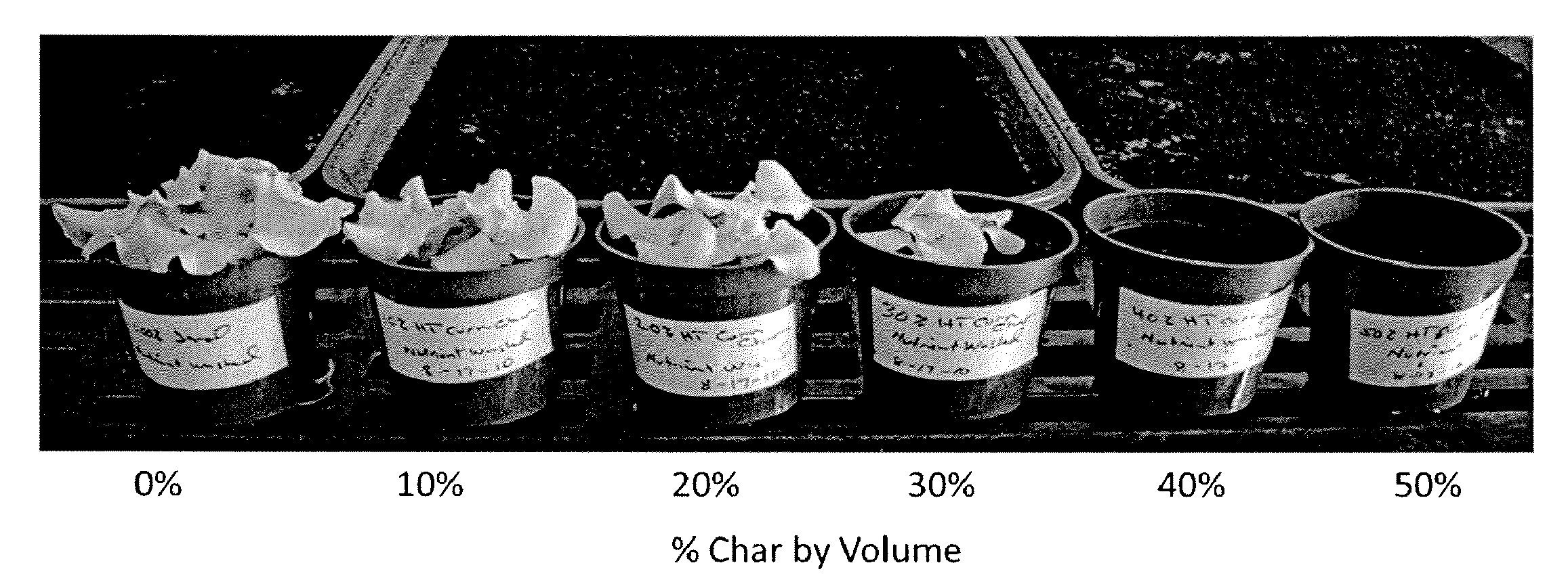 Method for enhancing soil growth using bio-char