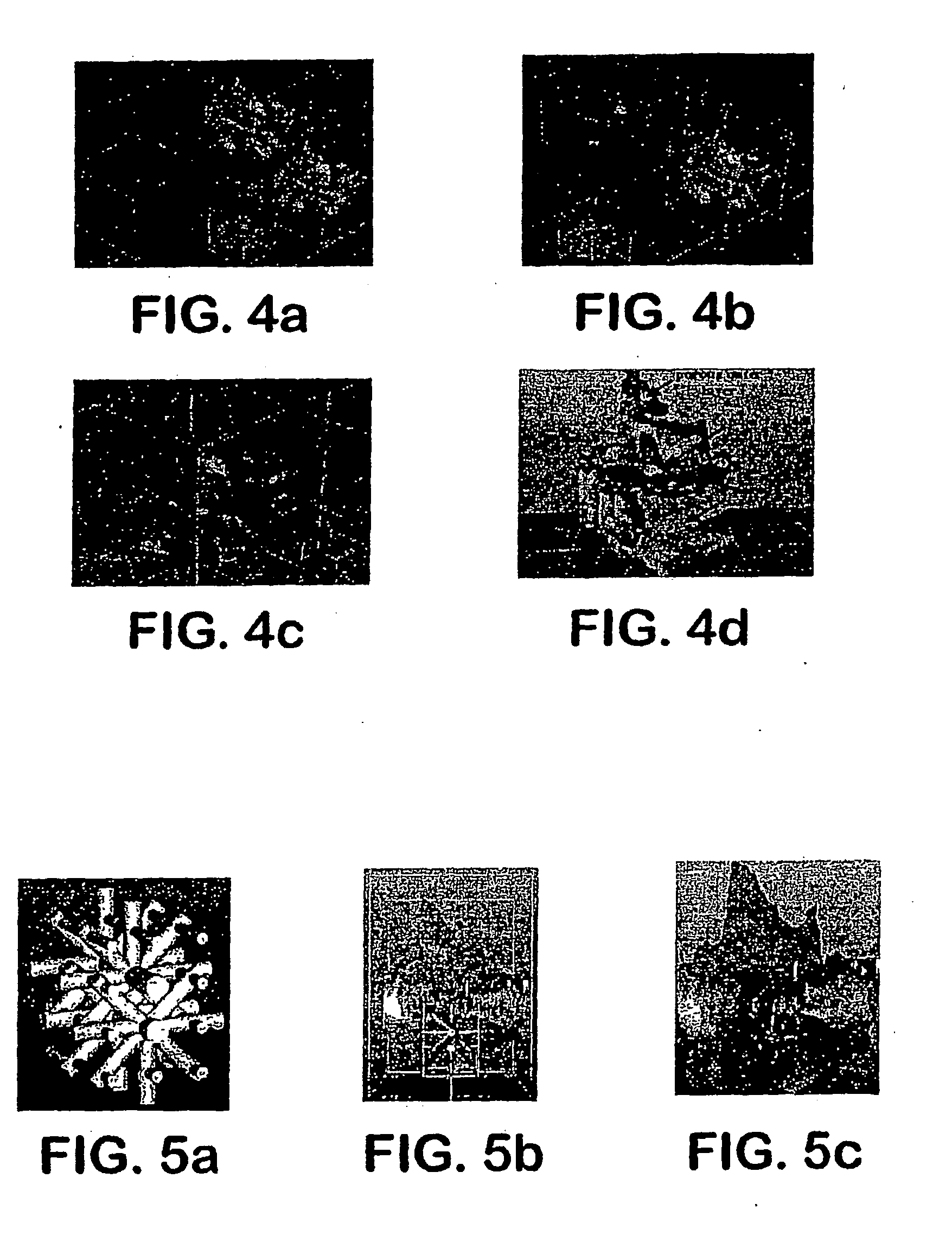 Method and apparatus for computer-aided tissue engineering for modeling, design and freeform fabrication of tissue scaffolds, constructs, and devices
