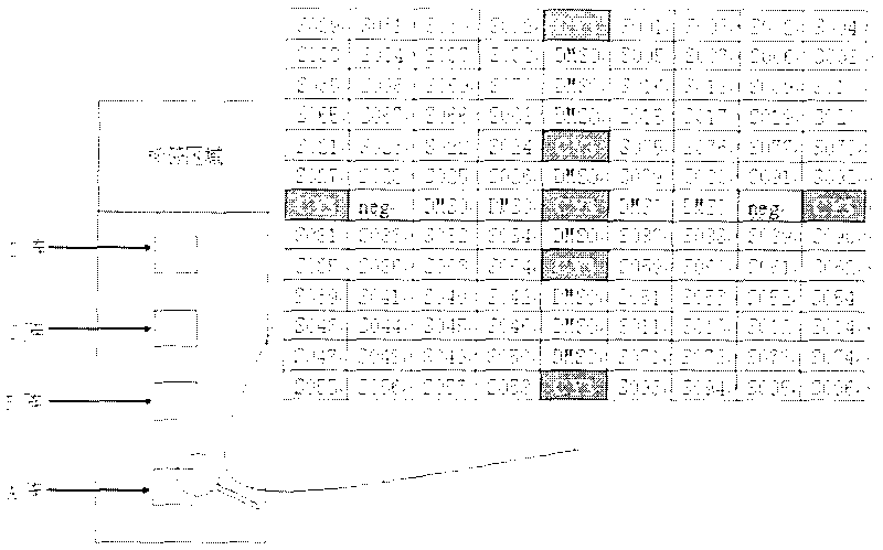 Gene chip for inspecting HIV P-reverse transcriptase inhibiting resistance and its reagent kit