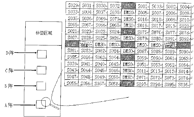 Gene chip for inspecting HIV P-reverse transcriptase inhibiting resistance and its reagent kit