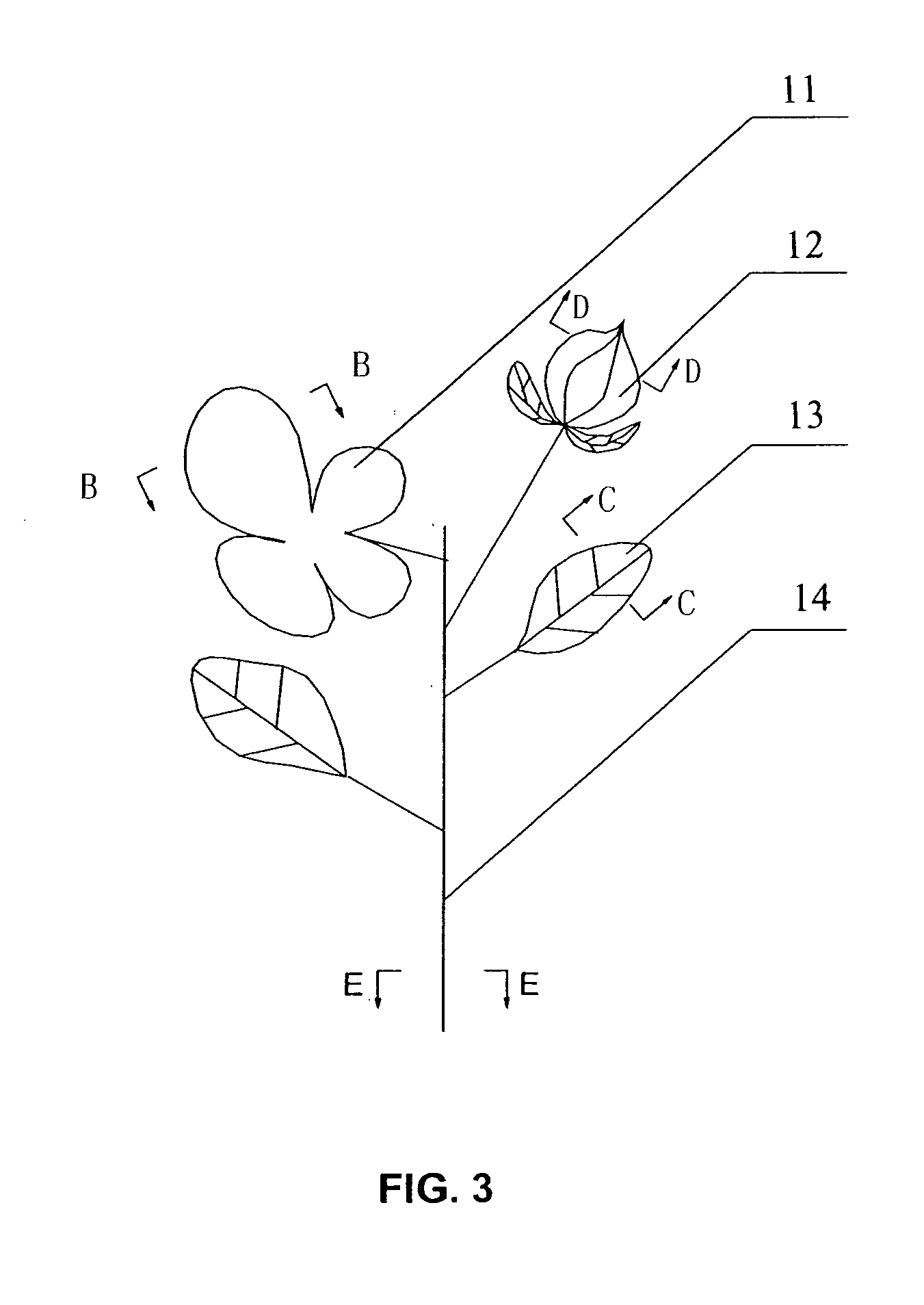 Petals of ornamental artificial flower and production methods thereof