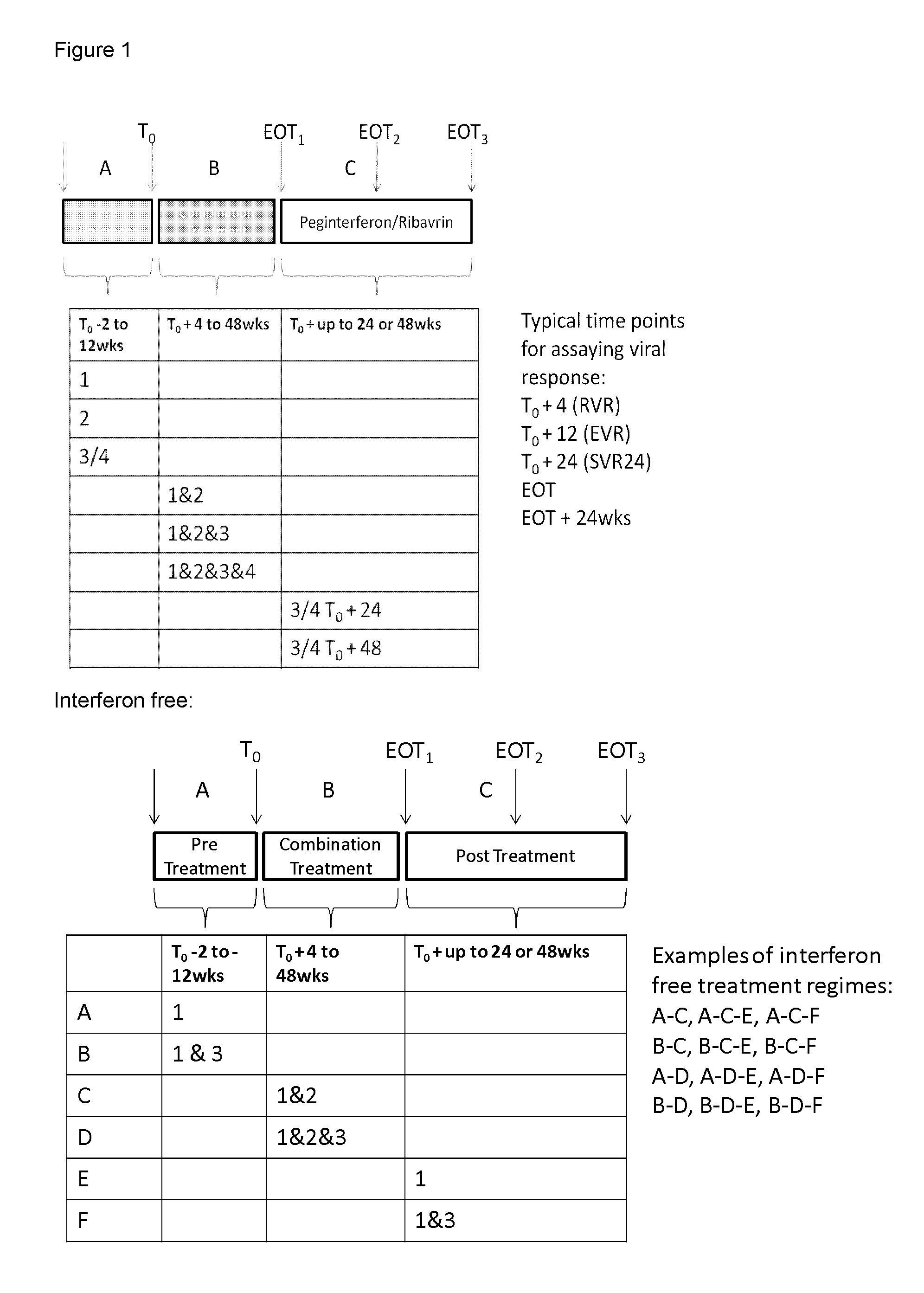 HCV Combination Therapy