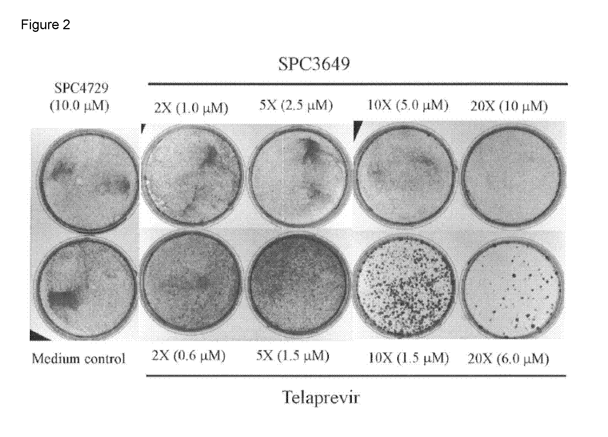 HCV Combination Therapy