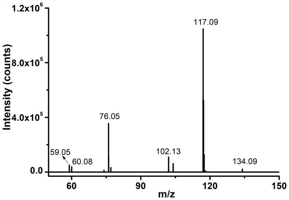 Atmospheric pressure photo ionization source device for detecting volatile organic compounds in water