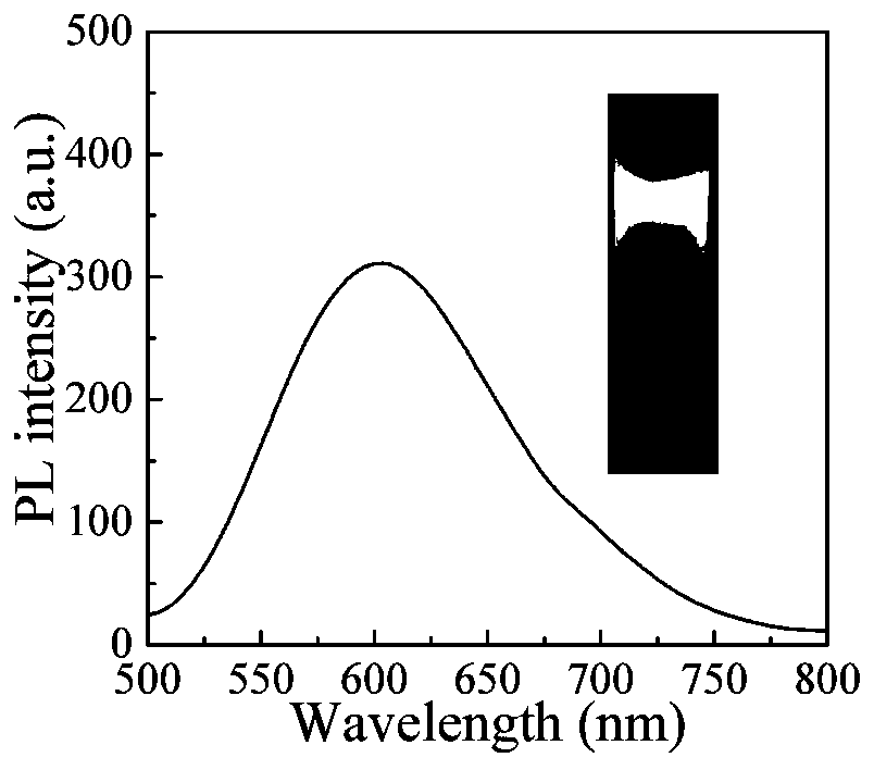 Preparation method of carboxyl and polypeptide modified AIE polymer nanoparticles