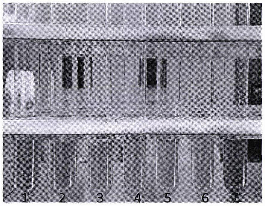 Nostoc high-efficiency cracking phycophage YongM and application thereof