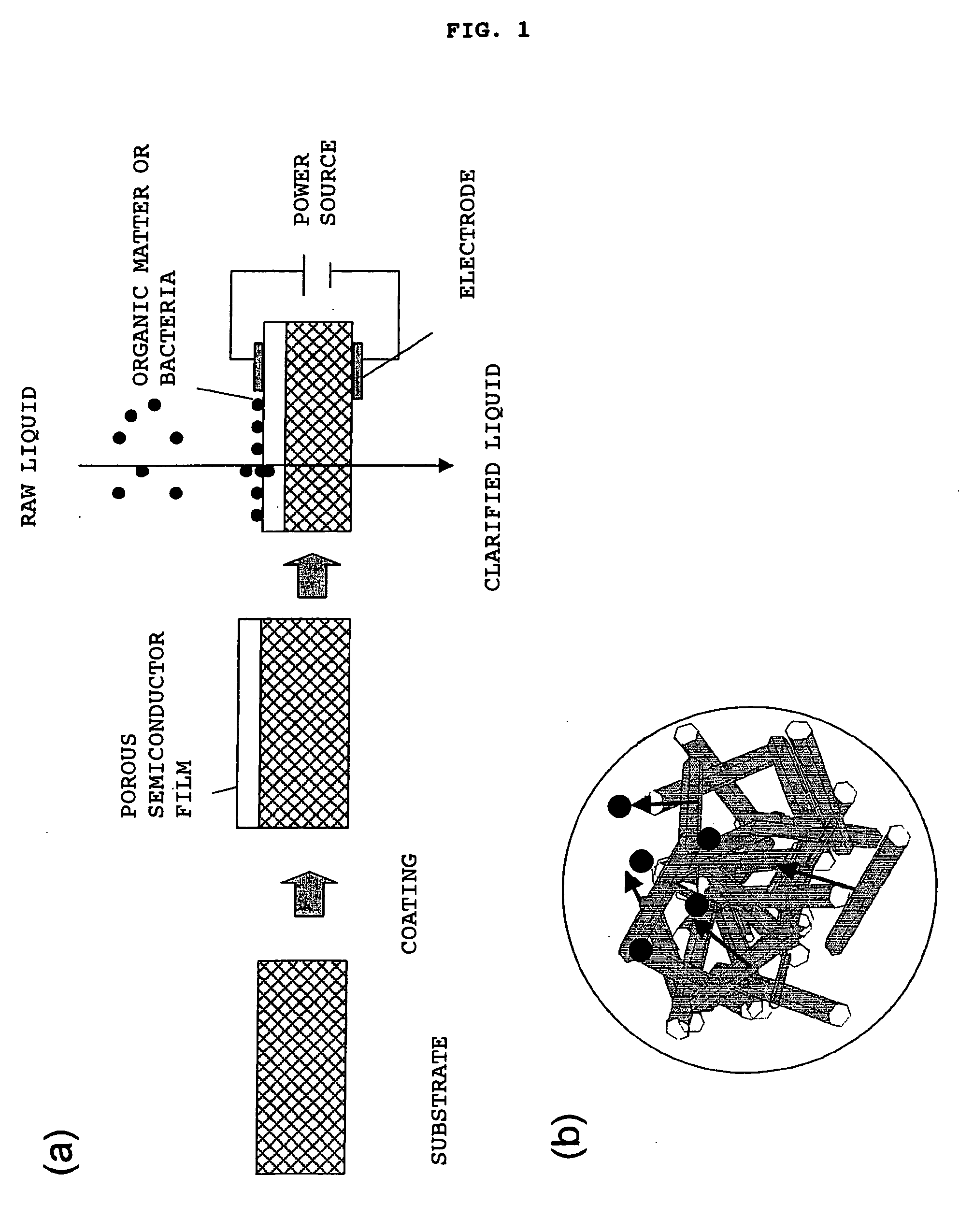 Porous semiconductor and process for producing the same