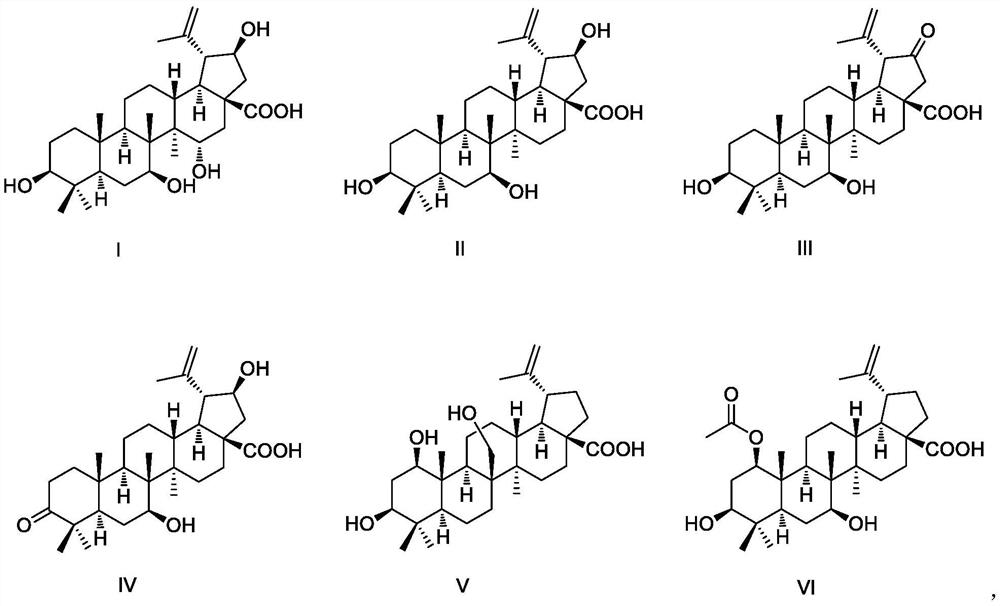 Application of betulinic acid derivatives in preparation of anti-nephropathy drug