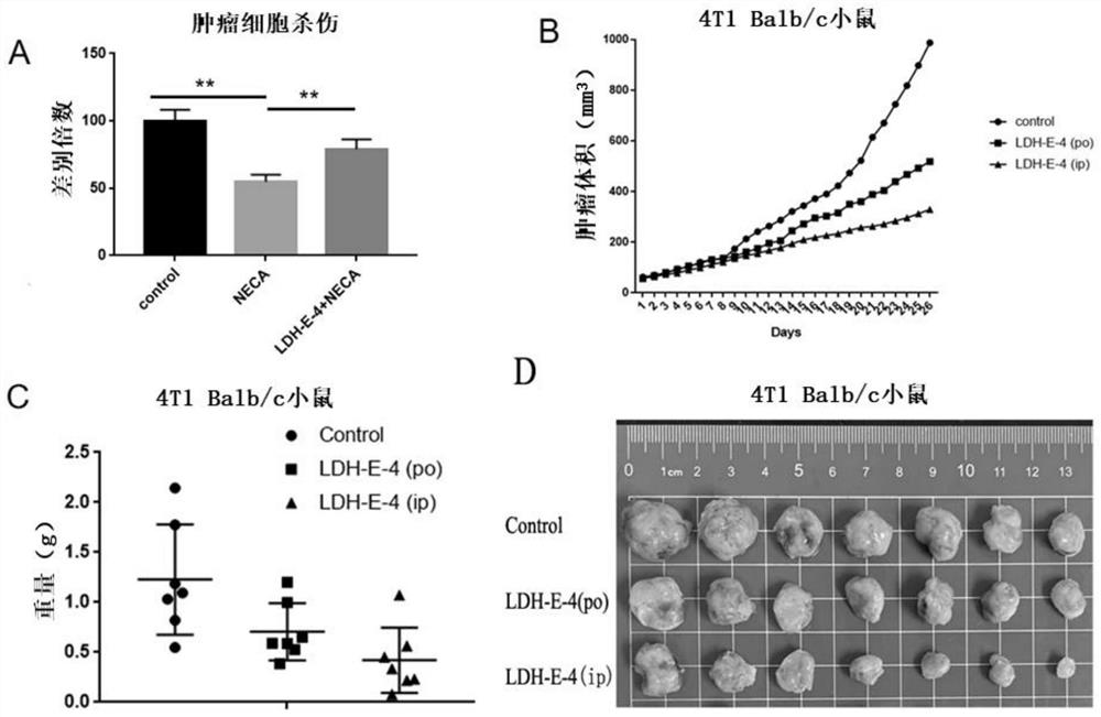Benzimidazopyrazine-3-carboxamide targeting A2A and tumor immune function thereof