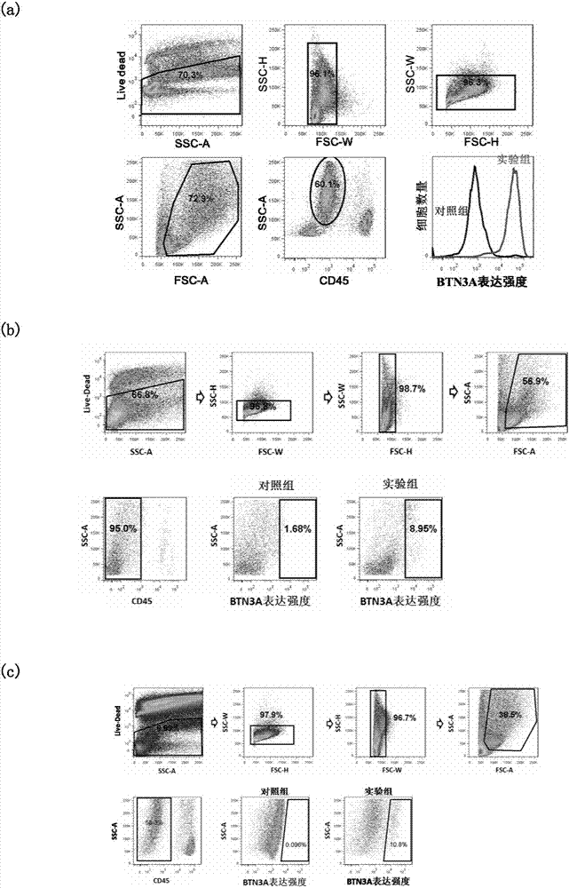 Tumor treatment targets and applications thereof