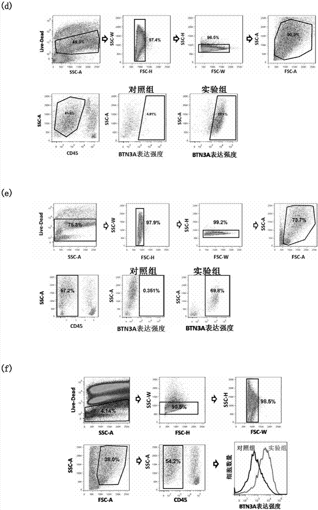 Tumor treatment targets and applications thereof