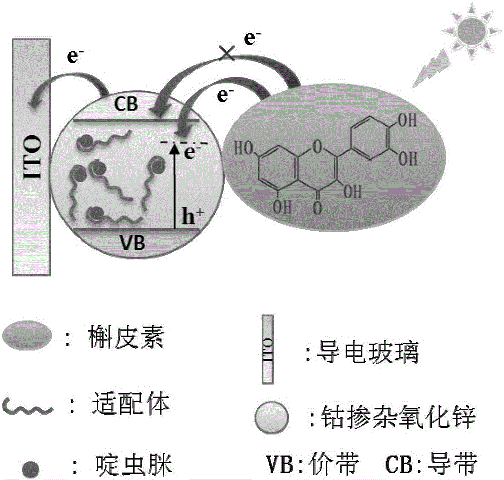 Method for constructing acetamiprid detection photoelectrochemical sensor and detecting method
