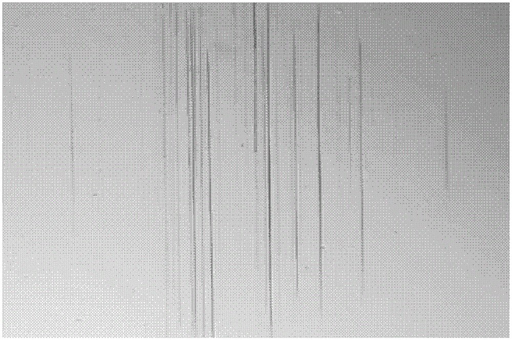 A kind of gold-palladium alloy electroplating solution and its preparation method and electroplating process