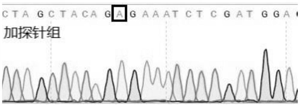 Primer set, kit and method for detecting braf gene mutation