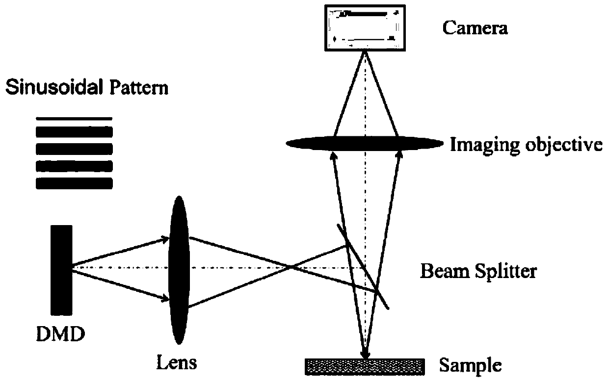 A rapid nondestructive tissue biopsy method and technique based on spatial frequency domain modulation for large-area analytical microstructure