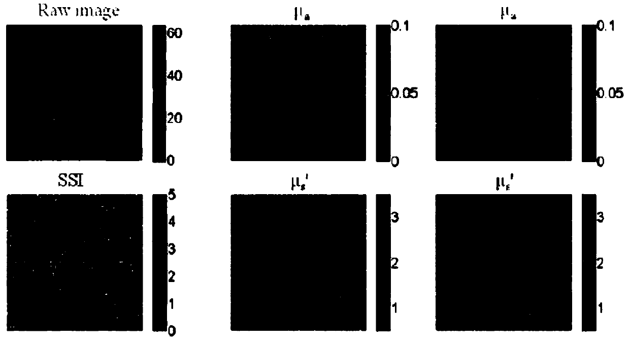 A rapid nondestructive tissue biopsy method and technique based on spatial frequency domain modulation for large-area analytical microstructure