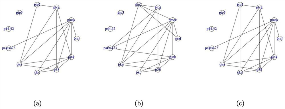 Network structure learning method based on differential privacy