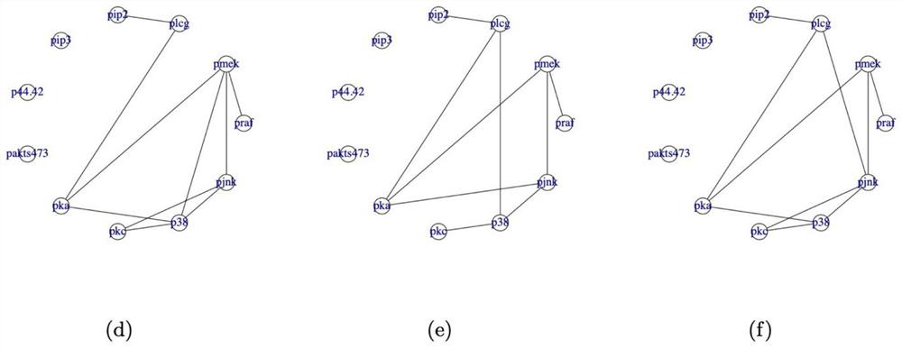 Network structure learning method based on differential privacy
