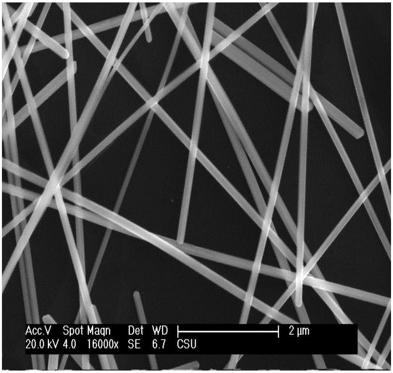 Production method of silver nanowire transparent conductive film