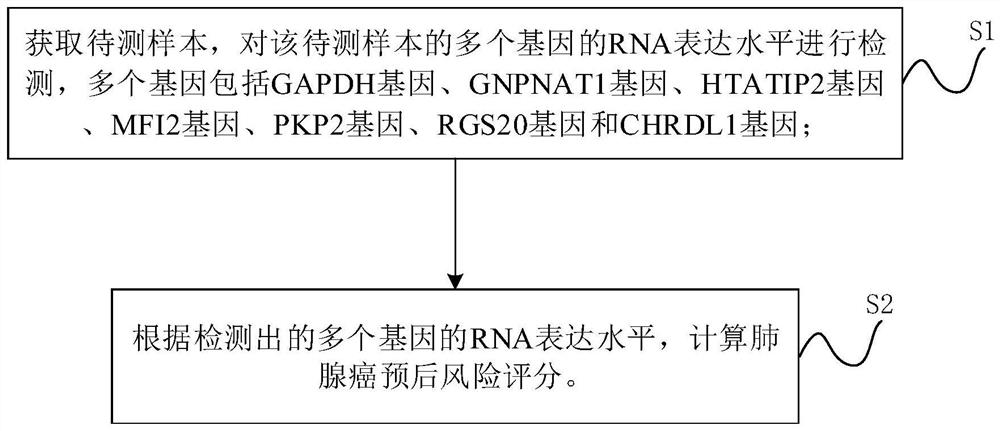 Lung adenocarcinoma prognosis prediction method and device based on lipid metabolism genes