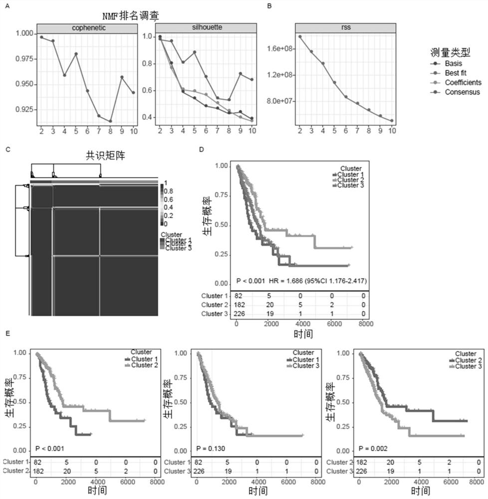 Lung adenocarcinoma prognosis prediction method and device based on lipid metabolism genes