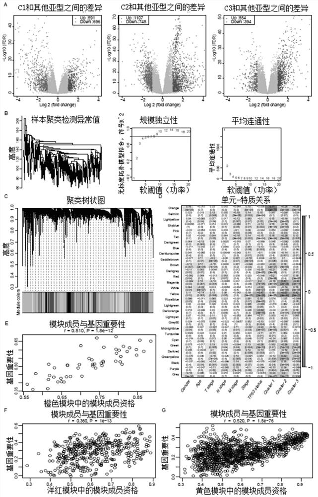 Lung adenocarcinoma prognosis prediction method and device based on lipid metabolism genes