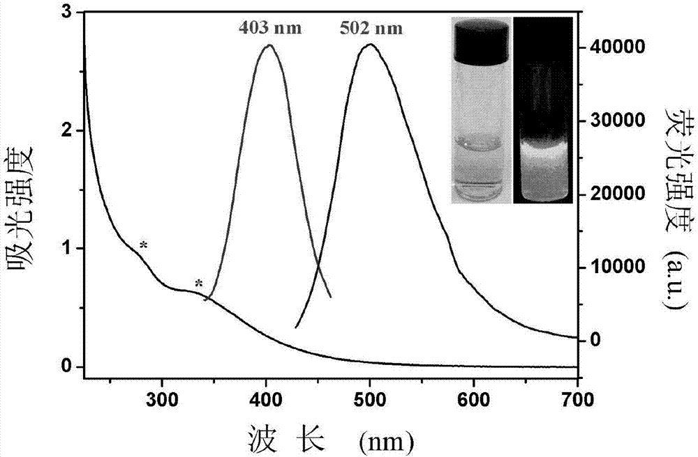 A hollow fluorescent carbon quantum dot and its preparation method and application