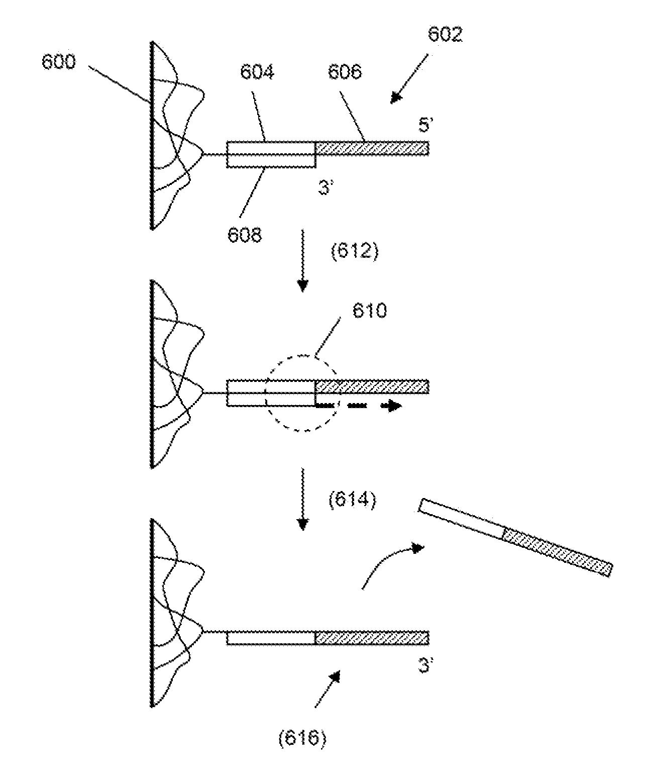 Methods of Making Libraries of Nucleic Acids Using Porous Particles