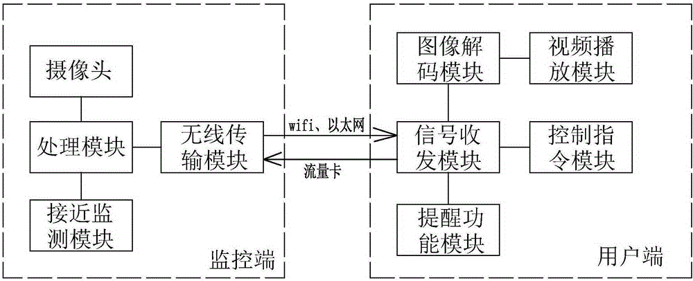 Remote wireless monitoring device with prompting function