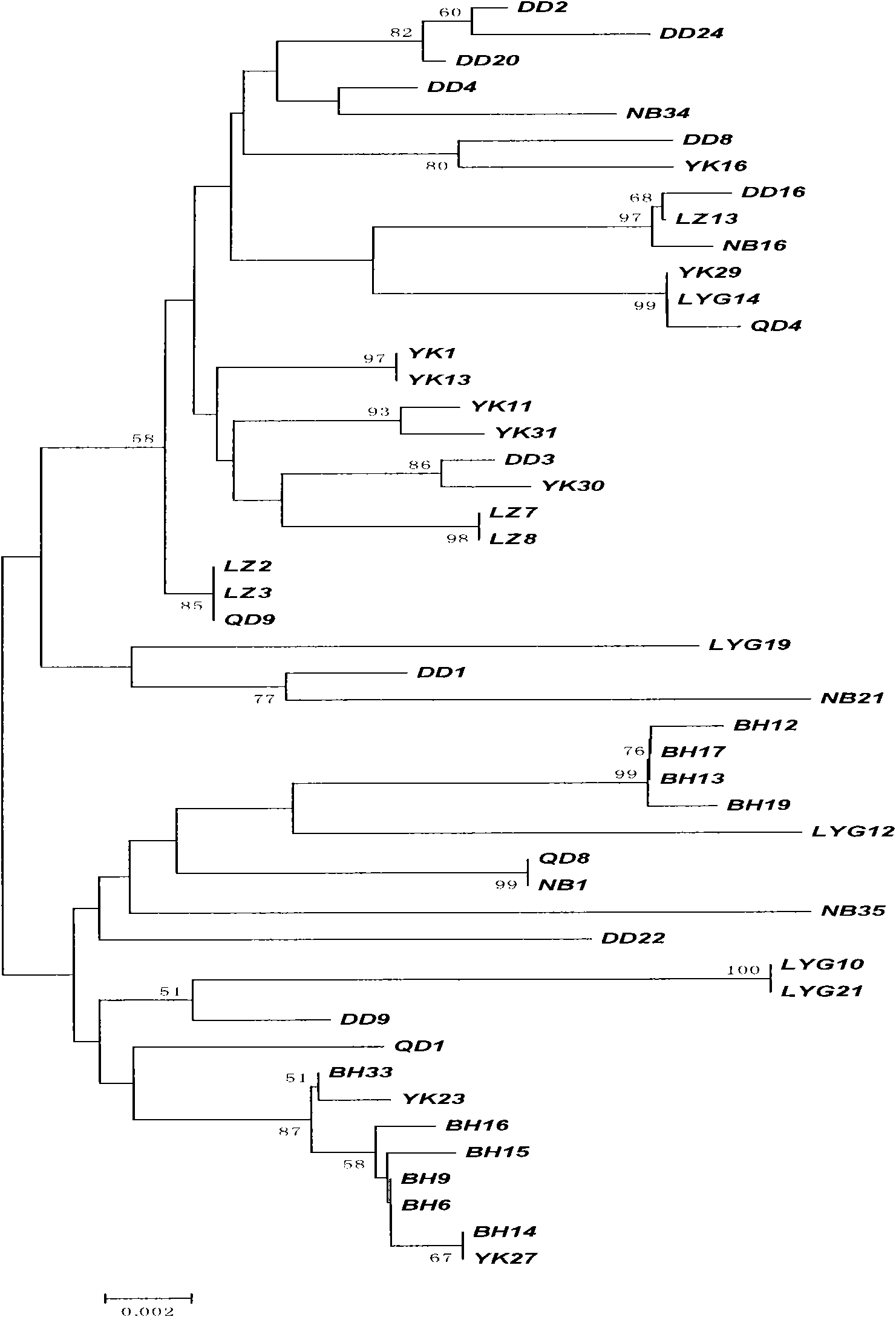 Construction method of portunus trituberculatus miers disease-resistant variety