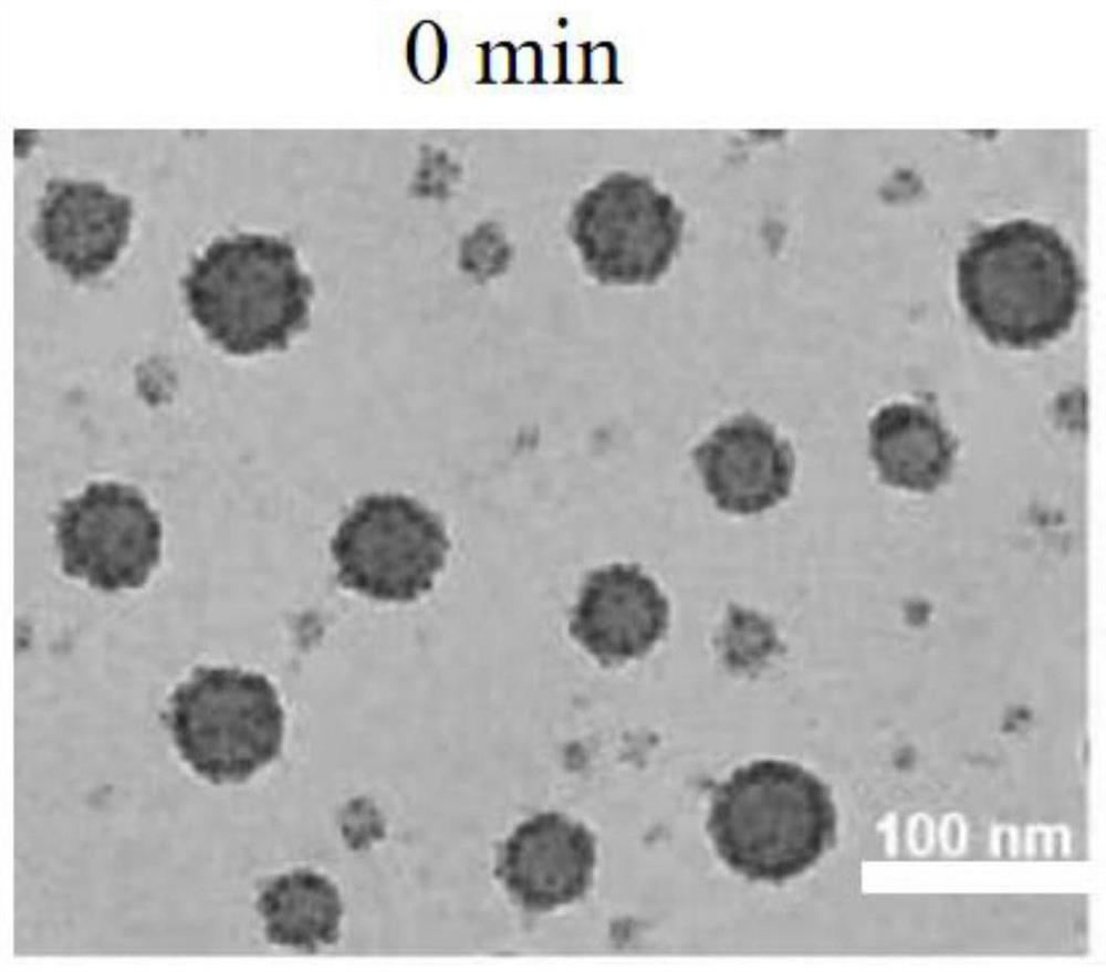 A kind of amphiphilic hydroxyethyl starch coupled cholesterol polymer and nano drug loading system