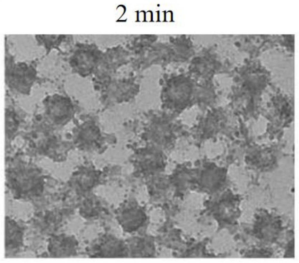 A kind of amphiphilic hydroxyethyl starch coupled cholesterol polymer and nano drug loading system