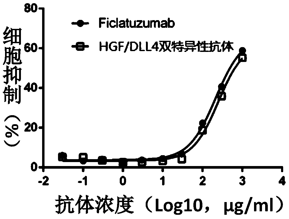 Recombinant anti-hgf/dll4 bispecific antibody, its preparation method and application