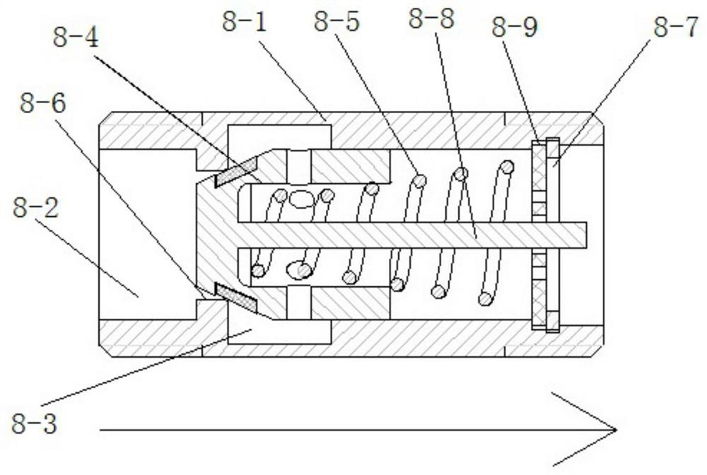 A central gas water heater with memory alloy check valve