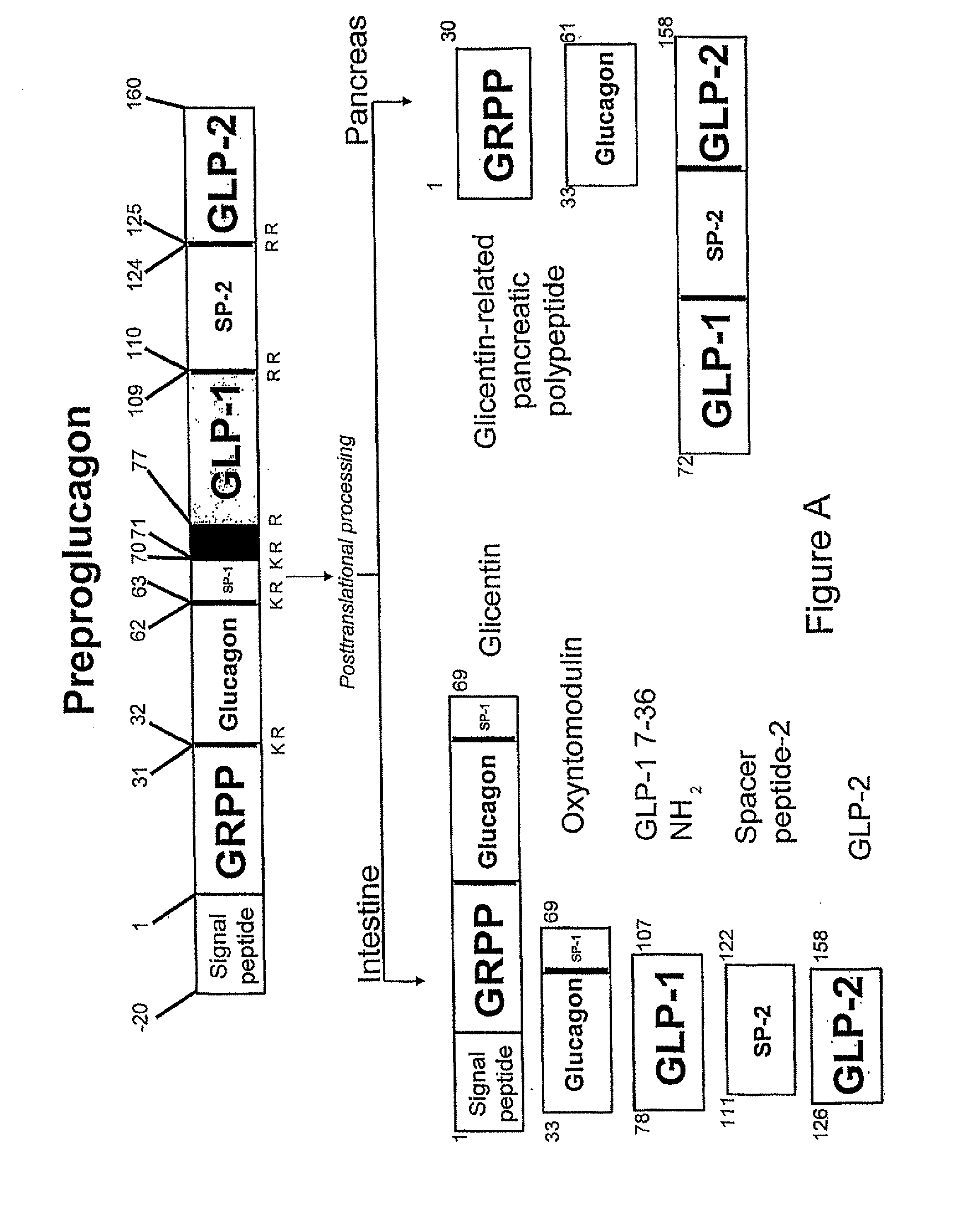 Modification of Feeding Behaviour