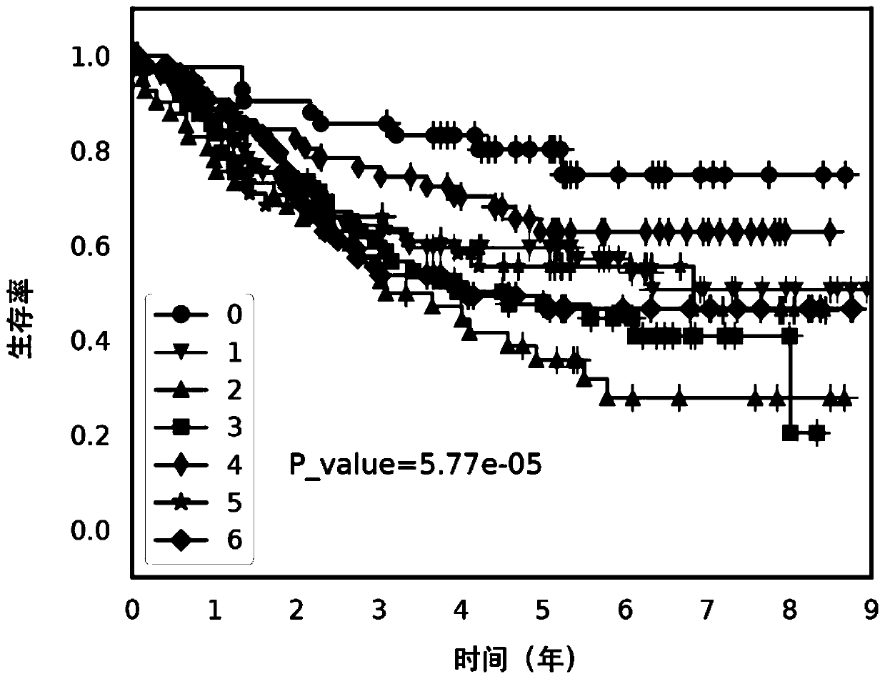 Screen method and screen device for protein markers for gastric cancer classification, and application of screened protein marker