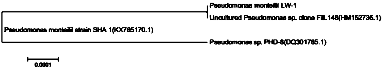 Biological active filler comprising pseudomonas monteilii