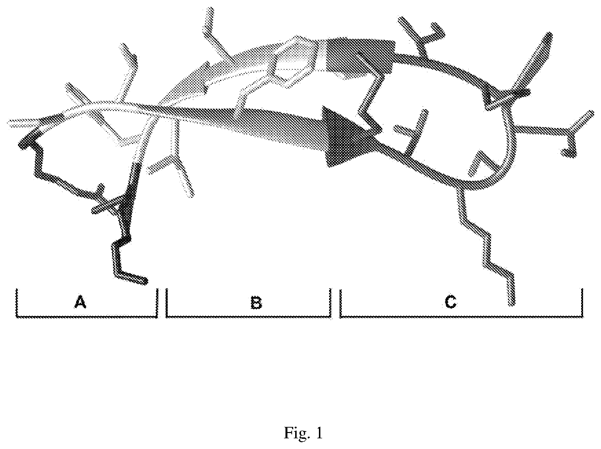 Antimicrobial peptide and its use thereof